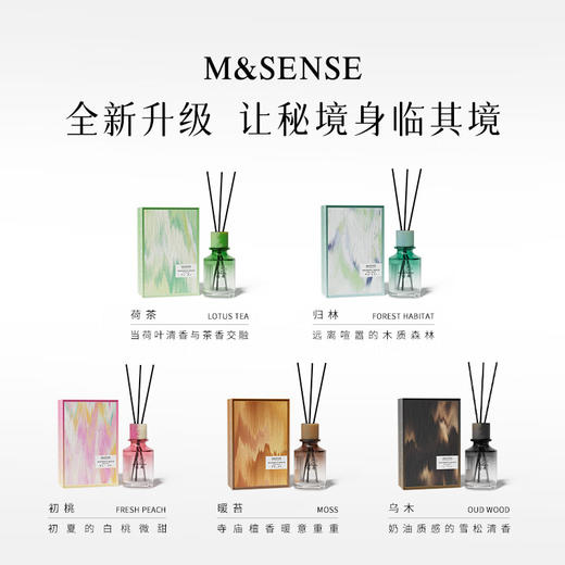 【6F】多样屋无火香薰礼盒室内持久扩香器摆件高级香氛送礼女生圣诞节礼物 秘境 商品图1