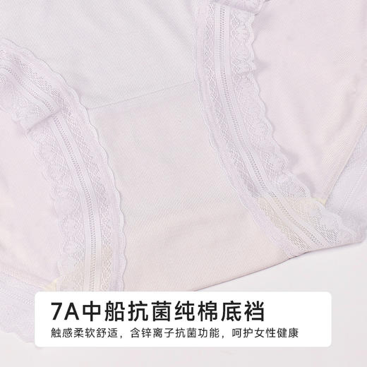 都市丽人宽版包覆宽版包覆系列莫代尔罗纹平角裤LKH5H4 商品图7