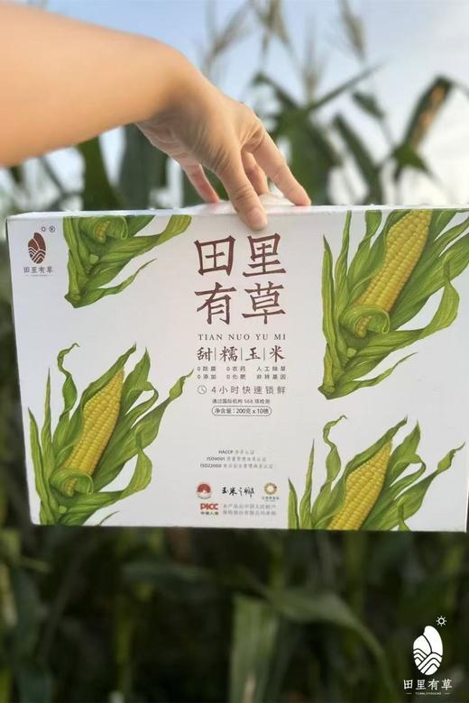 【会员7.5/根】田里有草0添加非转基因甜糯玉米 净含量：200克 商品图1