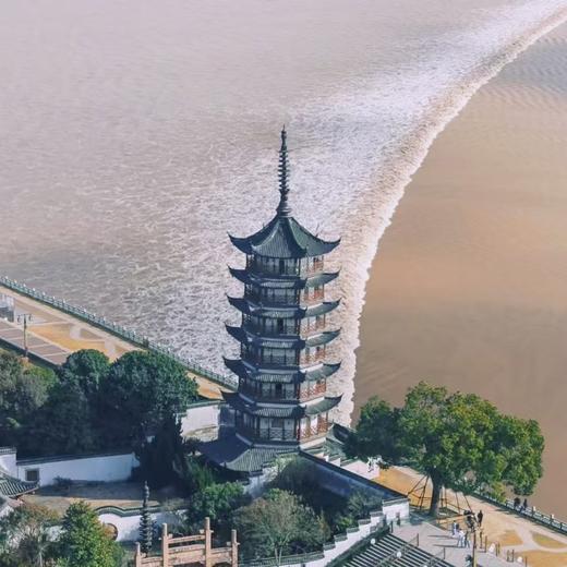 周六9.6去盐官赴一场潮音之旅，打卡乾隆四次认证的御游地，观钱塘江大潮（含门票，上海出发一天活动） 商品图3