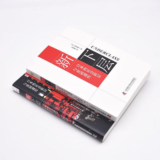 新下层：日本的社会阶层与贫困遗传 商品图8