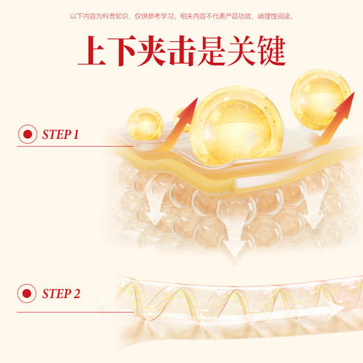 【果壳专属福利】奇美研新品净燃塑益生菌小金条+膳食纤维小绿条即食固体饮料食品【适合3+】 商品图5