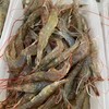 原生态海捕小海虾 商品缩略图1