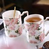nosin诺轩法式玫瑰花卉田园风陶瓷马克杯子带盖个性女水杯家用男诺轩野玫瑰马克杯一杯一盖一勺 商品缩略图3