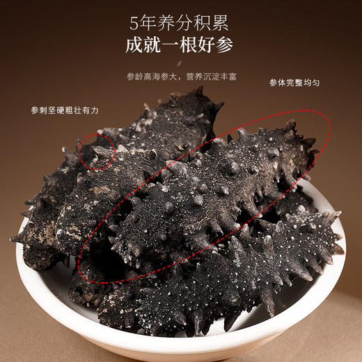 福东海 海参200克 22-28只 大连辽刺参淡干海参水产特产干货 补品送礼 商品图4