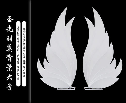 圣光羽翼背景（运费自理） 商品图0