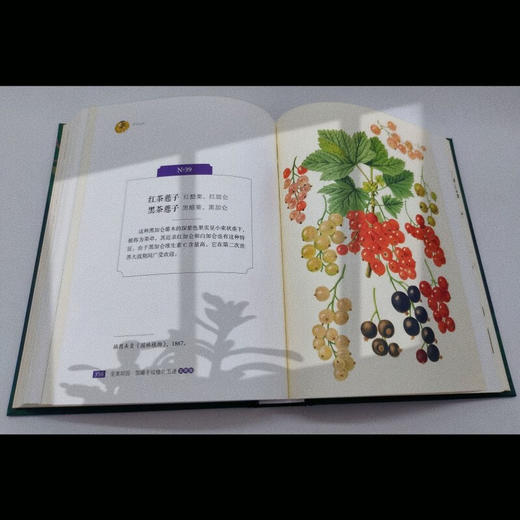 至美邱园·馆藏手绘植物图谱（观赏类） 商品图5