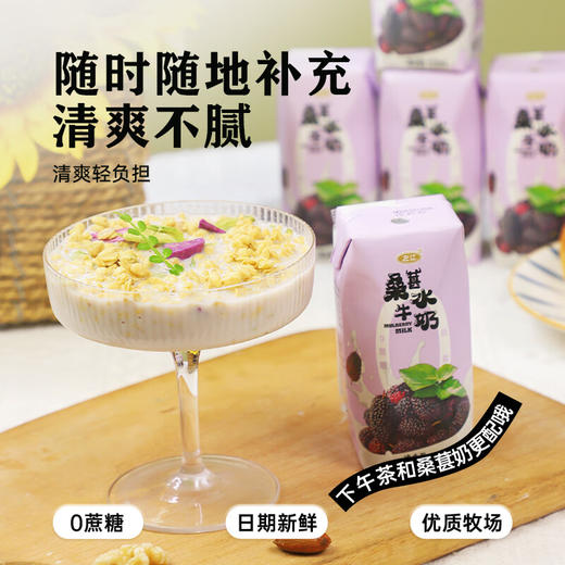 【分仓直发包邮】左江桑葚水牛奶210ml*10盒/箱 商品图7