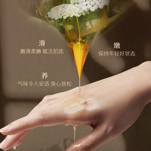 【双12大促】嘉媚乐小产地胡萝卜籽精油  弹润嫩肤  提升魅力 小产地单方精油  官方正品 商品图3