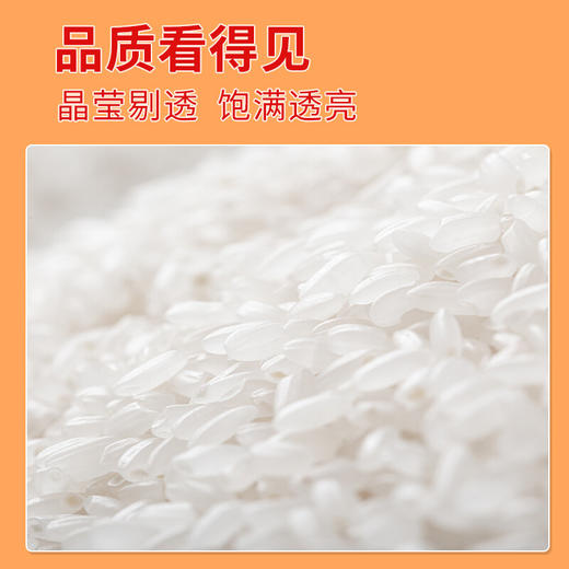 津沽香津越之光两面体2.5kg  高品质圆粒米 商品图1