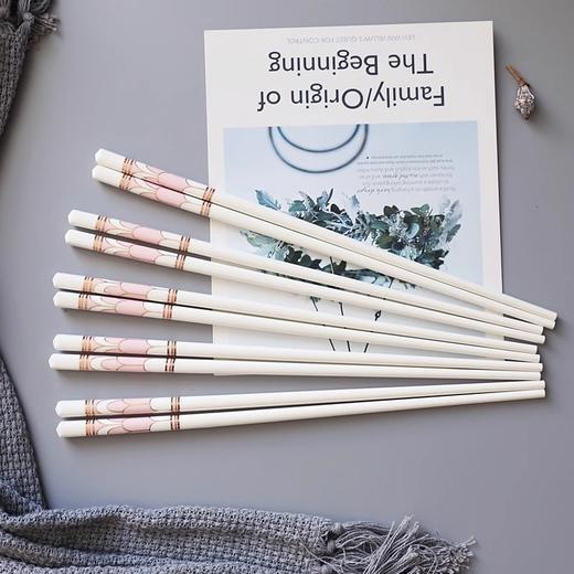 陶瓷筷子套装家用欧式奢华防潮防霉防滑耐高温象牙瓷筷子诺轩光辉岁月筷子蓝色10双礼盒装 商品图5