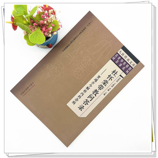 杜怀棠带教问答录:贯通古今解析内科杂病 杜怀棠 王成祥 李雁 主编 中国中医药出版社 大医传承文库名老中医带教问答录系列 商品图1