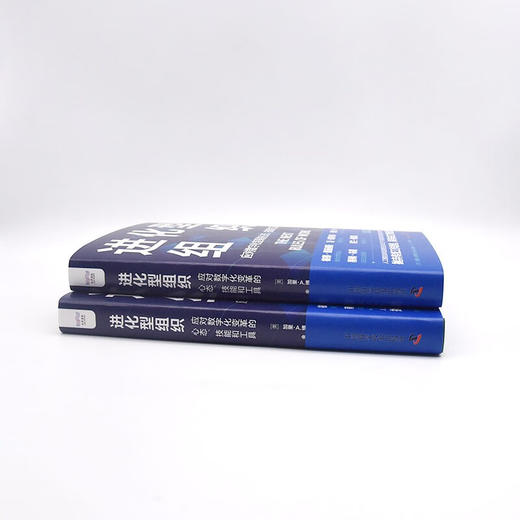 进化型组织：应对数字化变革的心态、技能和工具（精装典藏版） 商品图5