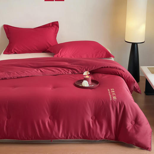 自然醒吾家有喜60支长绒棉刺绣婚嫁被轻奢新婚喜被20%蚕丝蛋白红色春秋被结婚床上冬加厚（配送婚庆大红手提袋）TD 商品图2