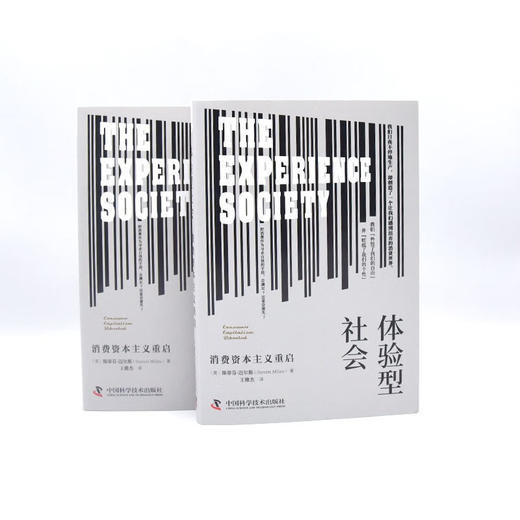 体验型社会：消费资本主义重启 商品图7