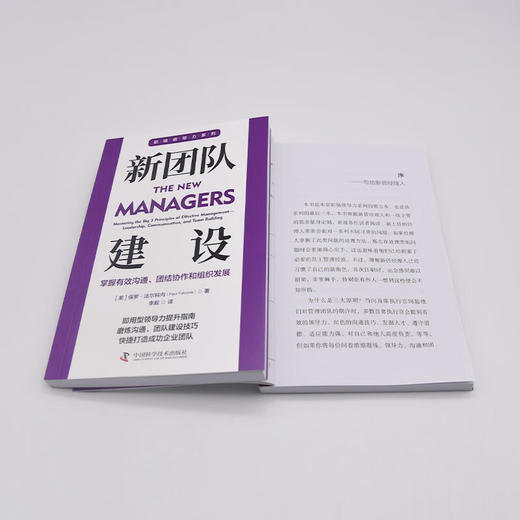 新团队建设：掌握有效沟通、团结协作和组织发展  职场领导力提升系列丛书 商品图8
