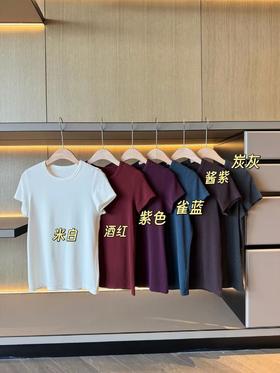 2025新配色TheRow简约T恤上衣（SS）