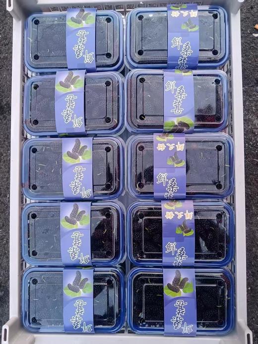 桑粒一盒 商品图0