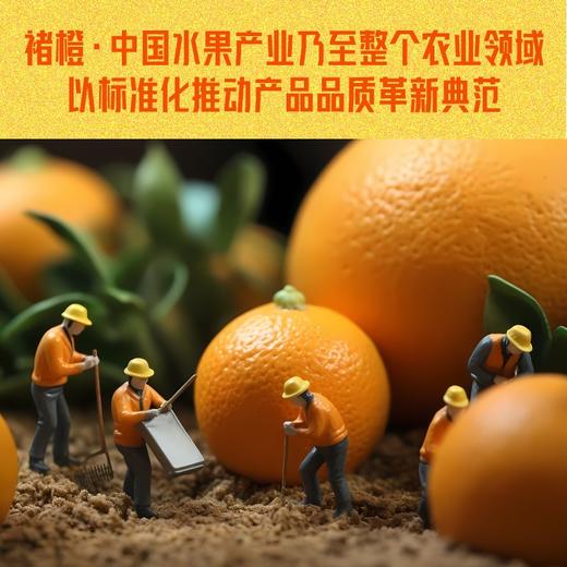 褚橙方法1：重新定义品牌 商品图2