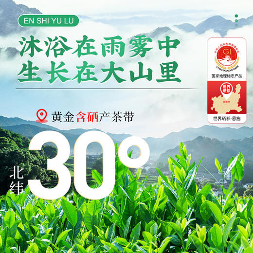 【2026年新茶预售】茶马世家丨茶马世家 恩施玉露 游龙礼盒 绿茶 一级 108g 湖北恩施 非遗技艺  2025年新茶，新茶预计4月15日发货 商品图1