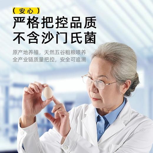 正宗泰和原种乌鸡蛋 30枚装/60枚装 乌乡基农家散养新鲜可生食土鸡蛋 商品图3