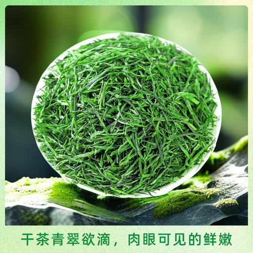 恩施 金苔香 恩施玉露绿茶   48g/盒 商品图2
