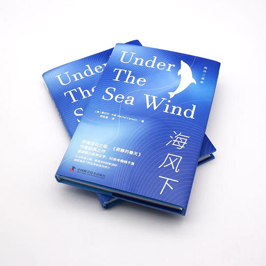 海风下：以鸟和鱼之眼，看海洋的四季流转  海洋环保三部曲系列丛书（精装典藏版） 商品图7