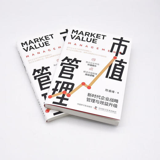 市值管理：新时代企业战略管理与效益升级 商品图5