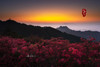 4.25春摄大别山——麻城龟峰山杜鹃花海•薄刀锋风光•天马寨五彩杜鹃5天 商品缩略图6
