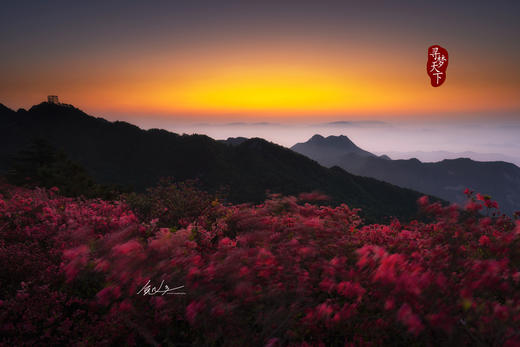 4.25春摄大别山——麻城龟峰山杜鹃花海•薄刀锋风光•天马寨五彩杜鹃5天 商品图6