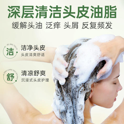 百年扁氏艾草去屑止痒头皮素 商品图2