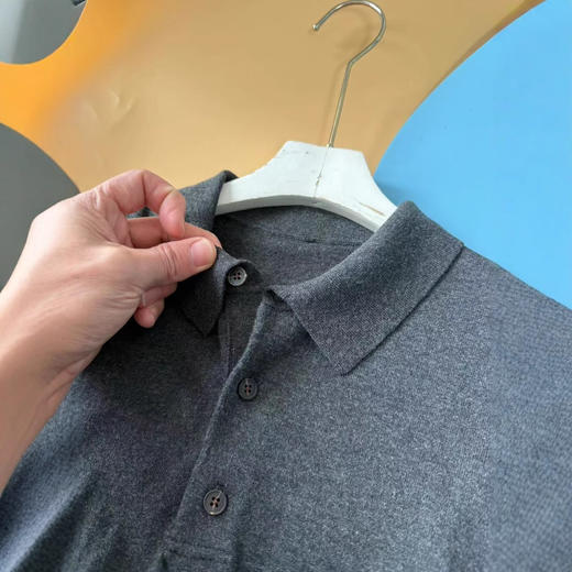 简约大方气质拉满常青款2025年春款翻领长袖polo衫针织衫上衣男款！ 商品图2