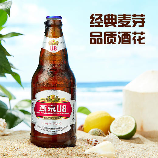 燕京 U8普通款500ml*12瓶  整箱装 普通款明星款混合发货） 商品图1
