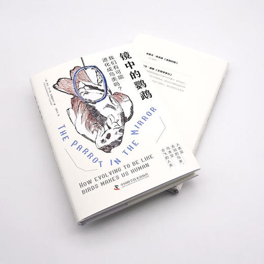 镜中的鹦鹉：我们有可能进化成鸟类吗？（精装典藏版） 商品图8