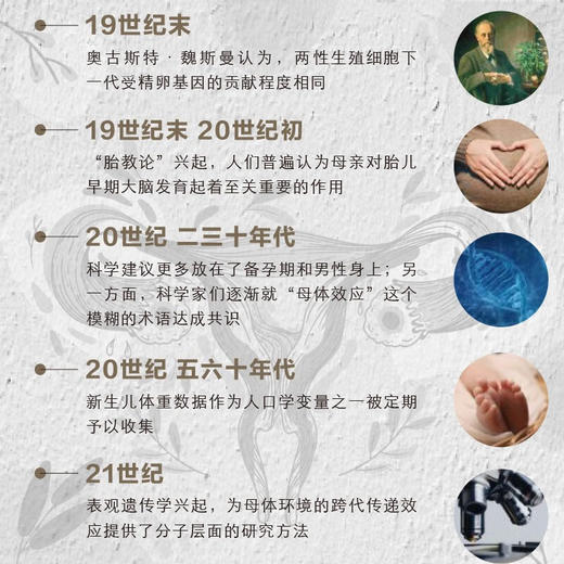 母体记忆：20世纪母婴科学研究史 商品图3