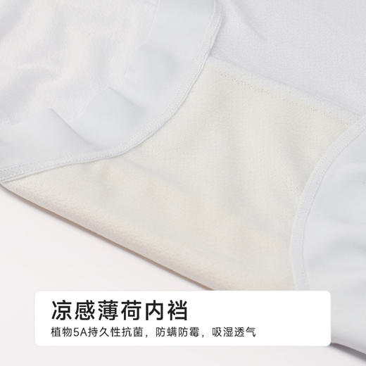 都市丽人宽版包覆宽版包覆系列提花锦泳平角裤LKH5H5 商品图7