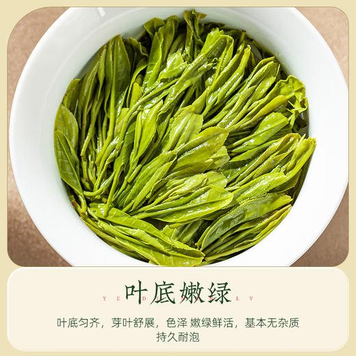【2026年新茶现货】茶马世家丨明前头采 恩施玉露 绿茶  特级 50g 罐装  商品图4