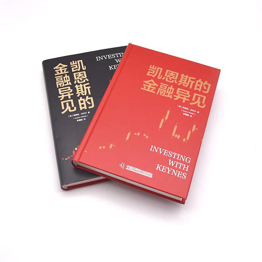 凯恩斯的金融异见 商品图5