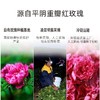 玫瑰花冠10g（玻璃瓶/塑料瓶装两款随机发货） 商品缩略图3