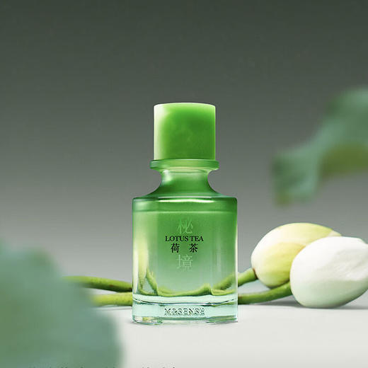 【6F】多样屋无火香薰礼盒室内持久扩香器摆件高级香氛送礼女生圣诞节礼物 秘境 商品图3