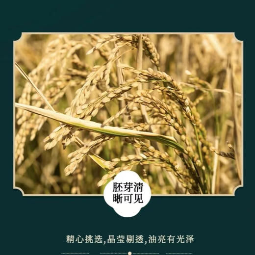 津沽宁河大米5公斤 商品图3