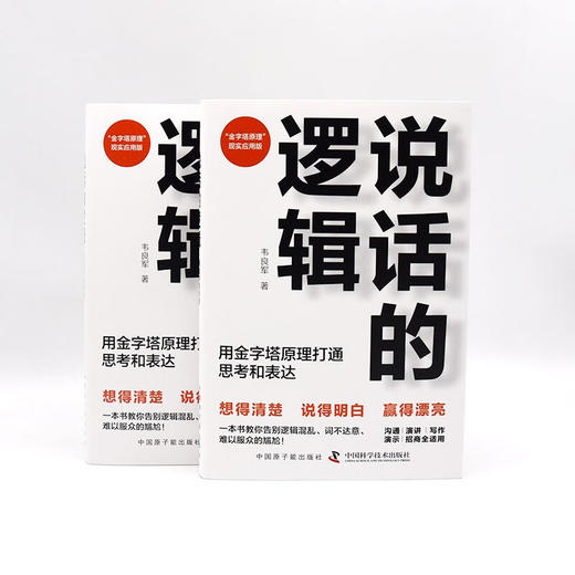 说话的逻辑：用金字塔原理打通思考和表达 商品图8