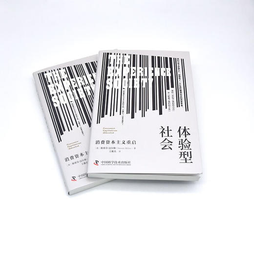 体验型社会：消费资本主义重启 商品图5