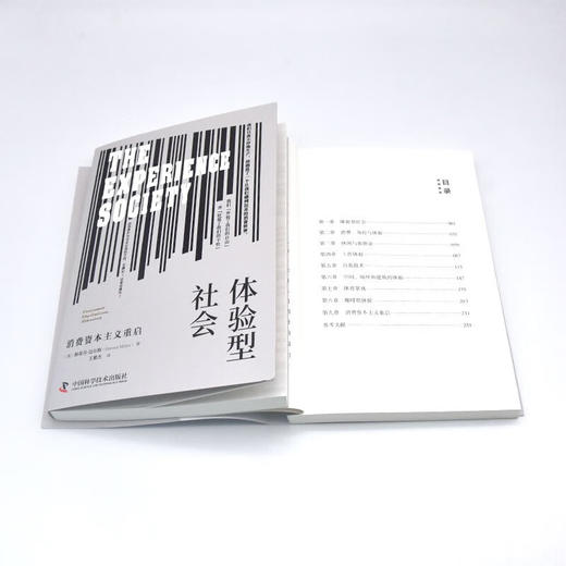 体验型社会：消费资本主义重启 商品图8