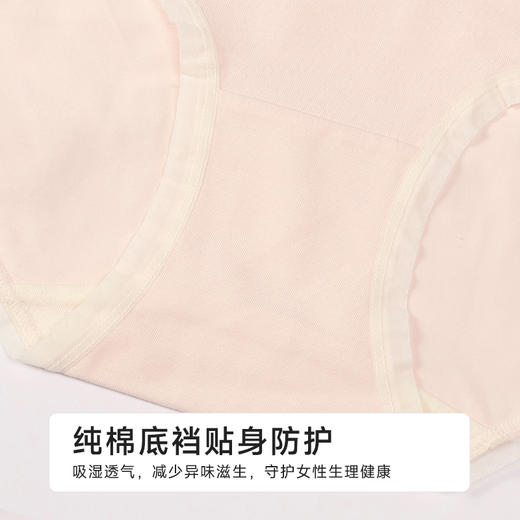 都市丽人舒肤棉纯棉系列50支棉平角裤LKH5A9 商品图7