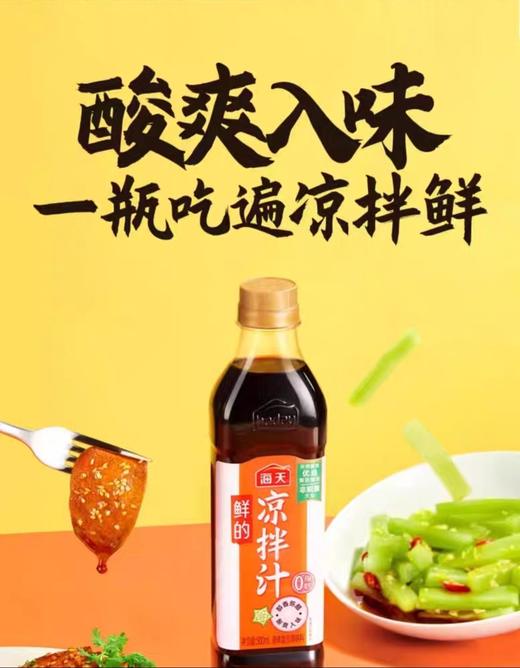 海天鲜的凉拌汁450ml 商品图0