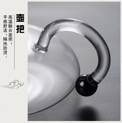 北欧INS风加厚高硼硅玻璃茶壶 商品图4