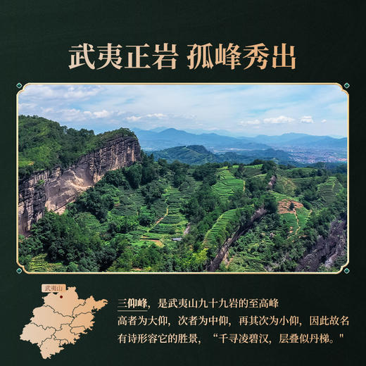 岩语 鉴山三仰峰水仙 正岩茶叶礼盒装特级武夷山岩茶送礼51g 商品图3