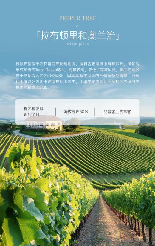 完税  澳大利亚酒  胡椒树庄园  冷气候西拉干红葡萄酒 商品图4