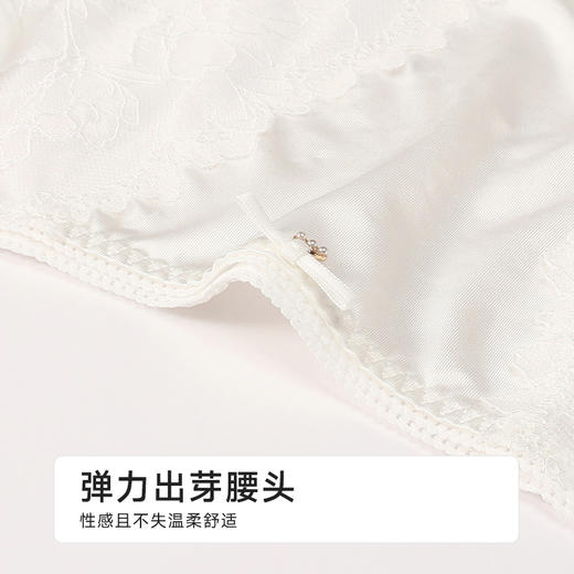 都市丽人薄透丝滑蕾丝网布系列蕾丝平角裤LKH5E2 商品图4
